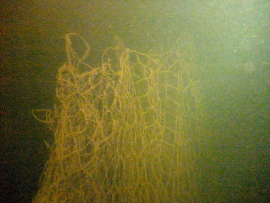 укекгн укекгн