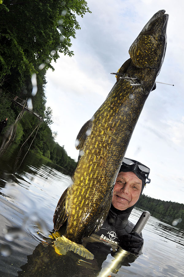 Бушафест 2013 Бушафест 2013