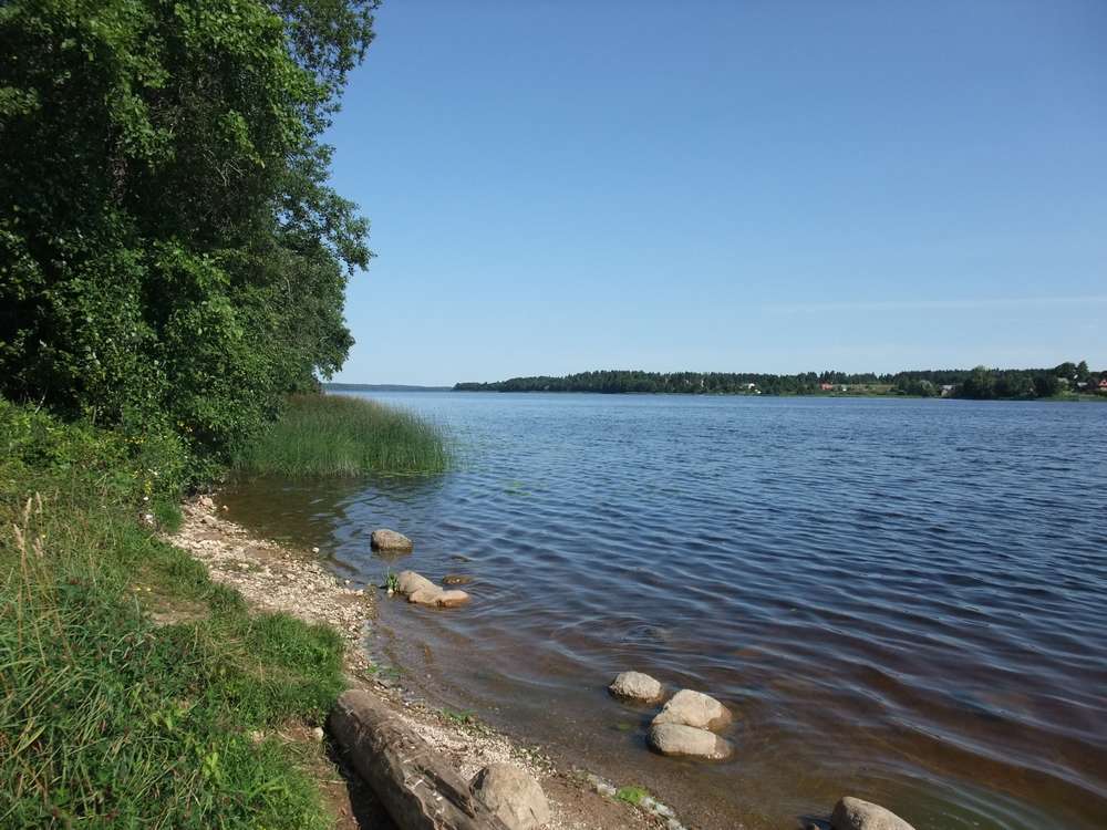 вреногл вреногл