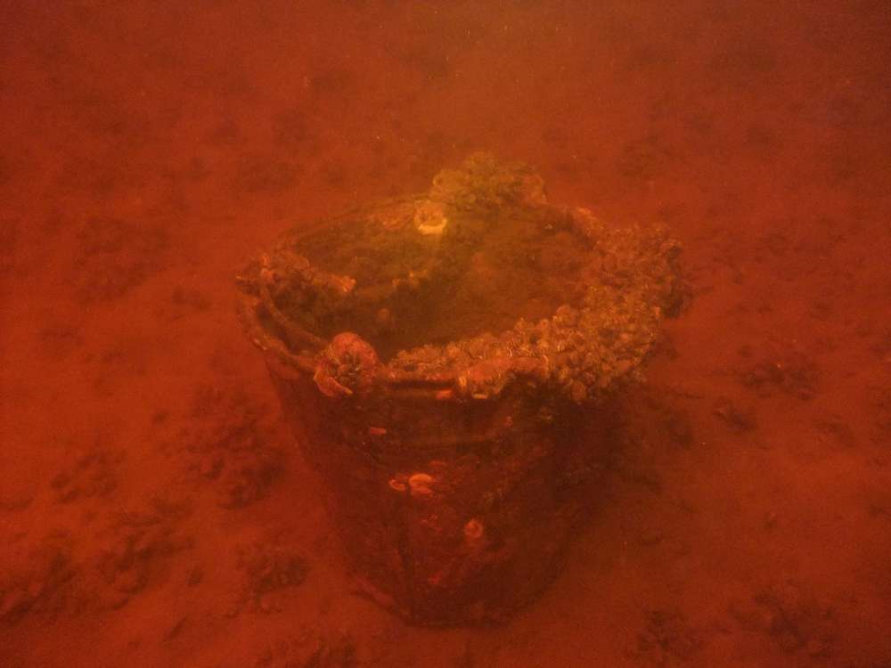 смтииь смтииь