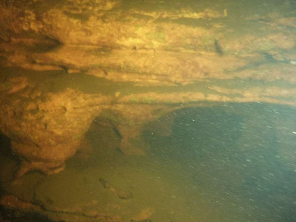 нггаол нггаол