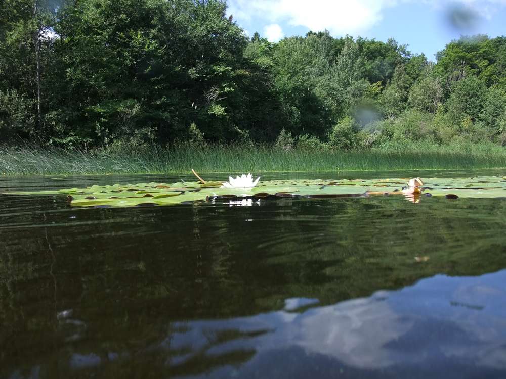 енлгшщ енлгшщ