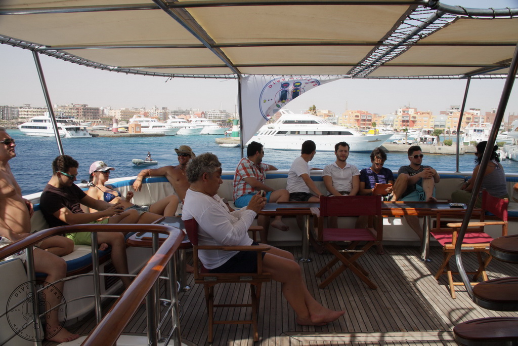 Сафари на Sea Serpent в июле 2013. Бразерсы, Дедалус, Эльфинстоун Сафари на Sea Serpent в июле 2013. Бразерсы, Дедалус, Эльфинстоун