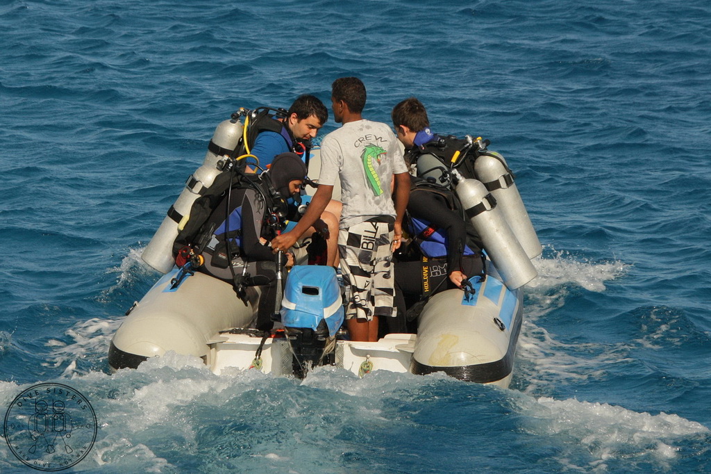 Сафари на Sea Serpent в июле 2013. Бразерсы, Дедалус, Эльфинстоун Сафари на Sea Serpent в июле 2013. Бразерсы, Дедалус, Эльфинстоун