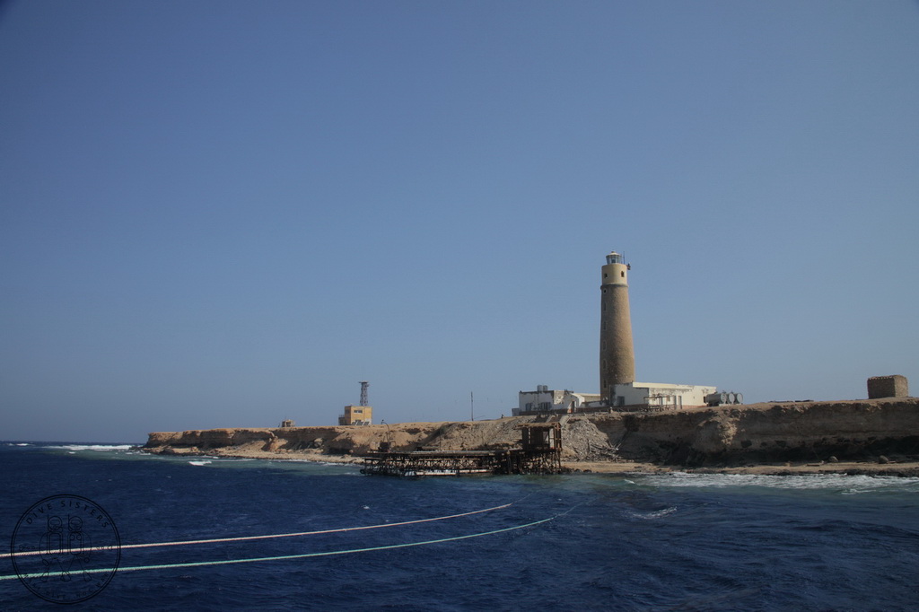 Сафари на Sea Serpent в июле 2013. Бразерсы, Дедалус, Эльфинстоун Сафари на Sea Serpent в июле 2013. Бразерсы, Дедалус, Эльфинстоун