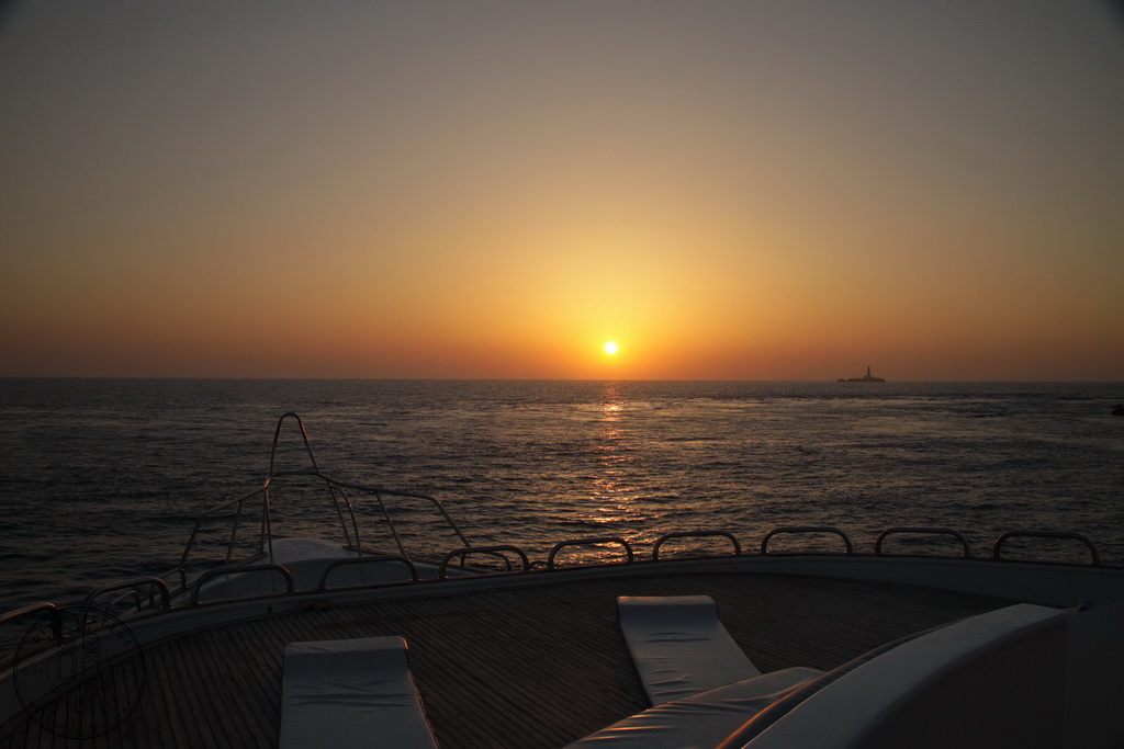 Сафари на Sea Serpent в июле 2013. Бразерсы, Дедалус, Эльфинстоун Сафари на Sea Serpent в июле 2013. Бразерсы, Дедалус, Эльфинстоун