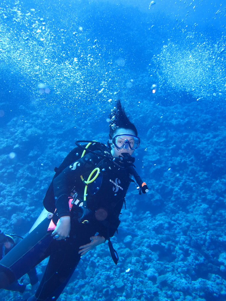 Сафари на Sea Serpent в июле 2013. Бразерсы, Дедалус, Эльфинстоун