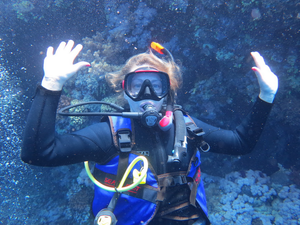 Сафари на Sea Serpent в июле 2013. Бразерсы, Дедалус, Эльфинстоун Сафари на Sea Serpent в июле 2013. Бразерсы, Дедалус, Эльфинстоун