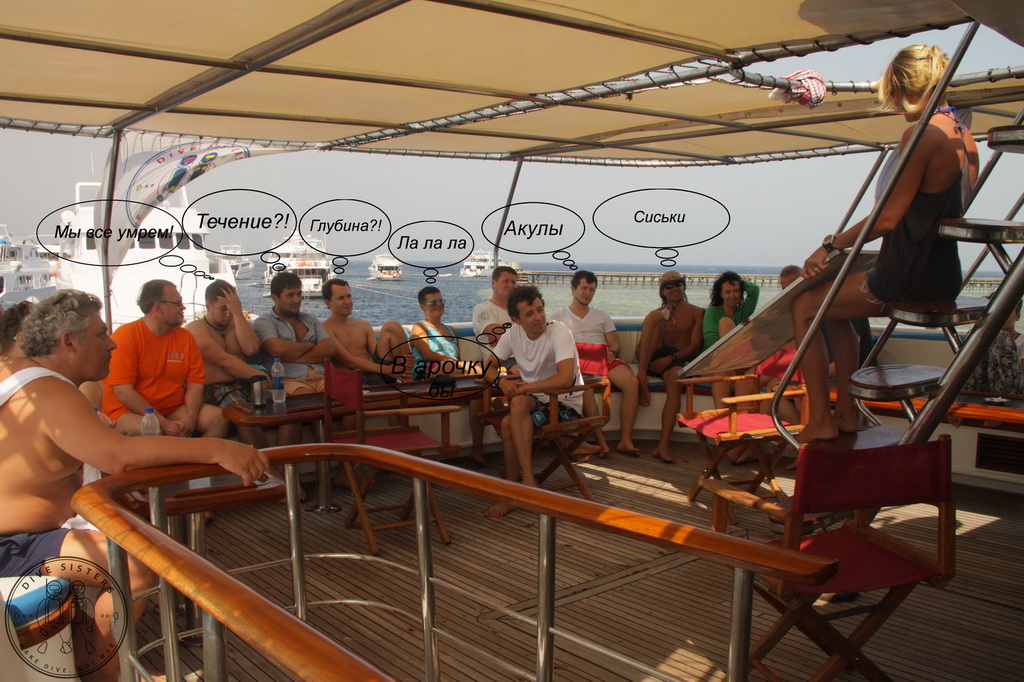 Сафари на Sea Serpent в июле 2013. Бразерсы, Дедалус, Эльфинстоун Сафари на Sea Serpent в июле 2013. Бразерсы, Дедалус, Эльфинстоун