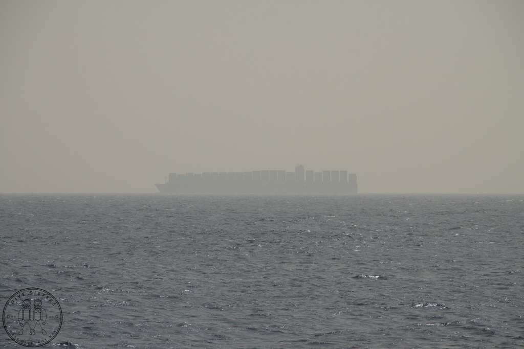 Сафари на Sea Serpent в июле 2013. Бразерсы, Дедалус, Эльфинстоун Сафари на Sea Serpent в июле 2013. Бразерсы, Дедалус, Эльфинстоун