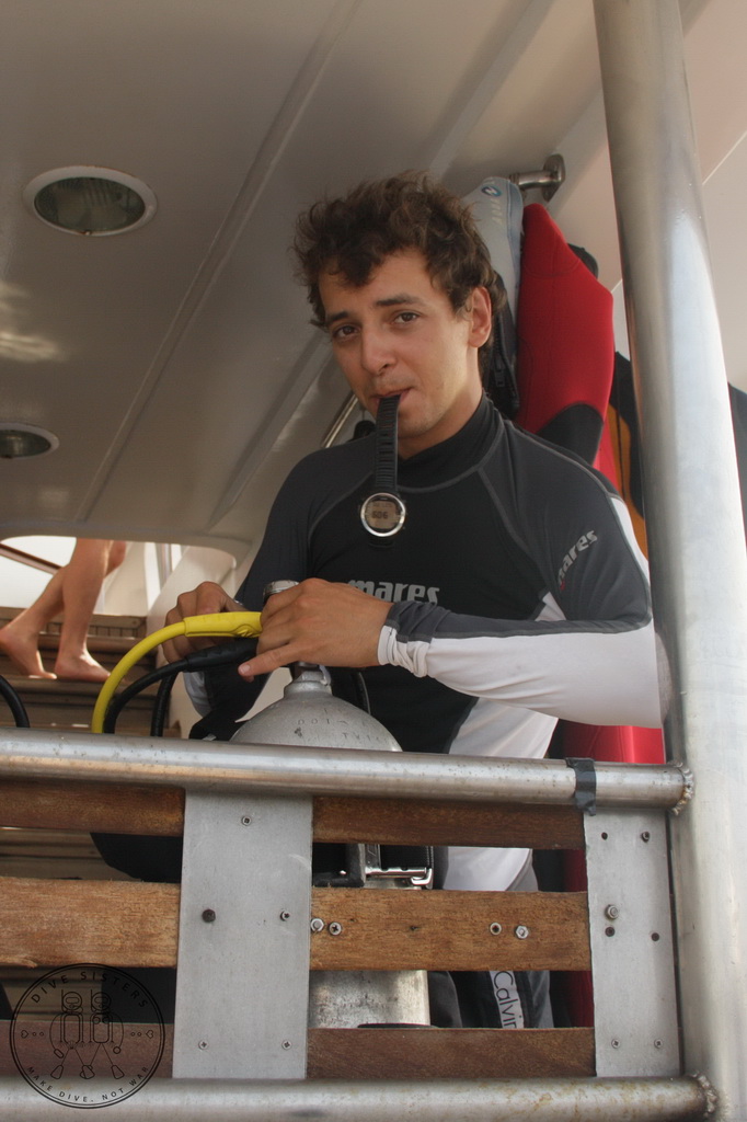 Сафари на Sea Serpent в июле 2013. Бразерсы, Дедалус, Эльфинстоун Сафари на Sea Serpent в июле 2013. Бразерсы, Дедалус, Эльфинстоун