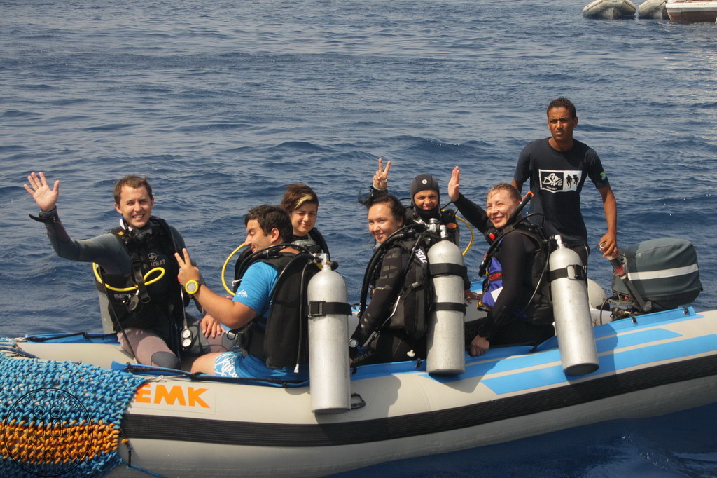 Сафари на Sea Serpent в июле 2013. Бразерсы, Дедалус, Эльфинстоун Сафари на Sea Serpent в июле 2013. Бразерсы, Дедалус, Эльфинстоун