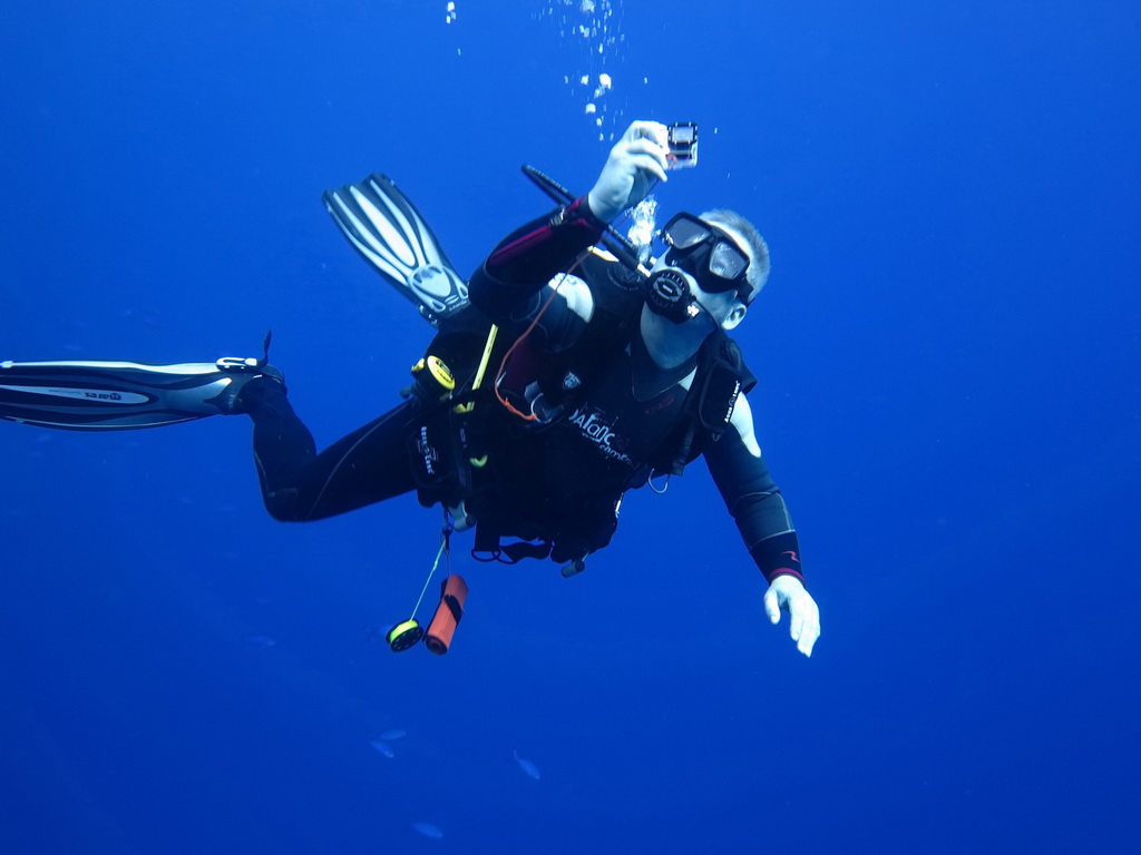 Сафари на Sea Serpent в июле 2013. Бразерсы, Дедалус, Эльфинстоун Сафари на Sea Serpent в июле 2013. Бразерсы, Дедалус, Эльфинстоун