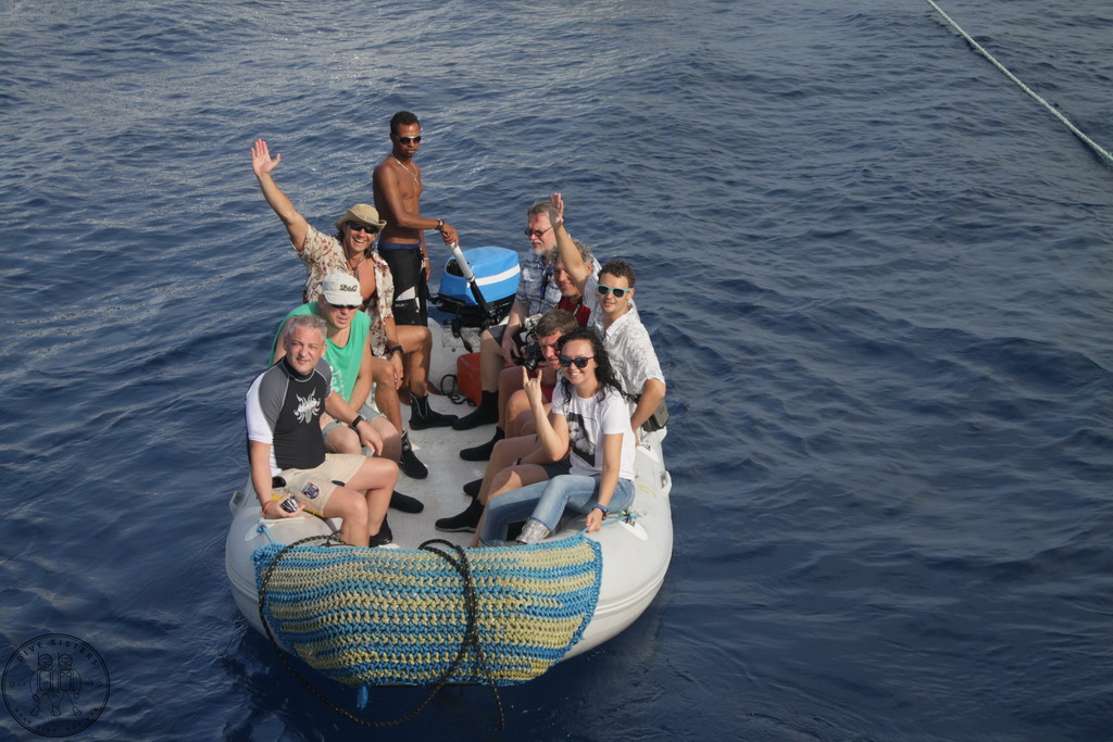 Сафари на Sea Serpent в июле 2013. Бразерсы, Дедалус, Эльфинстоун Сафари на Sea Serpent в июле 2013. Бразерсы, Дедалус, Эльфинстоун