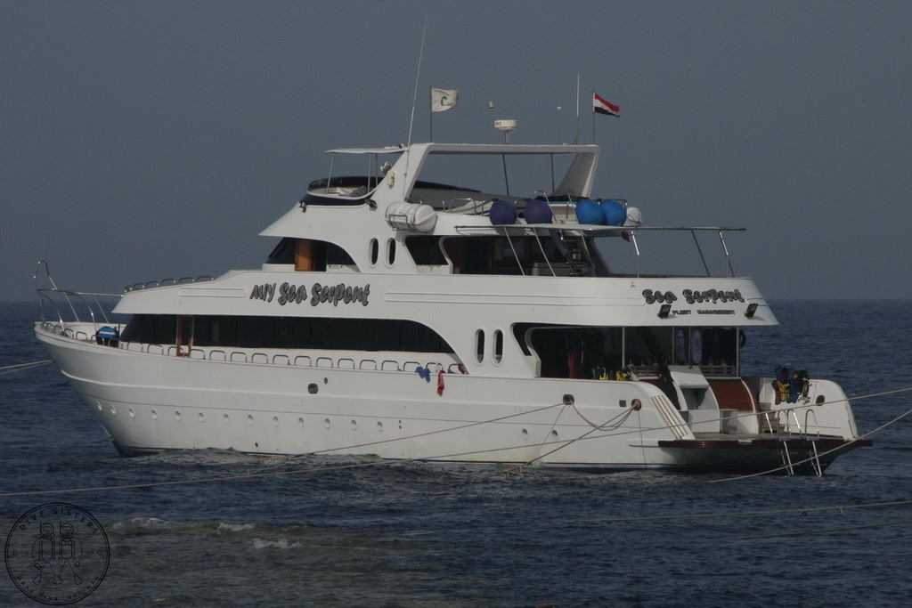 Сафари на Sea Serpent в июле 2013. Бразерсы, Дедалус, Эльфинстоун Сафари на Sea Serpent в июле 2013. Бразерсы, Дедалус, Эльфинстоун