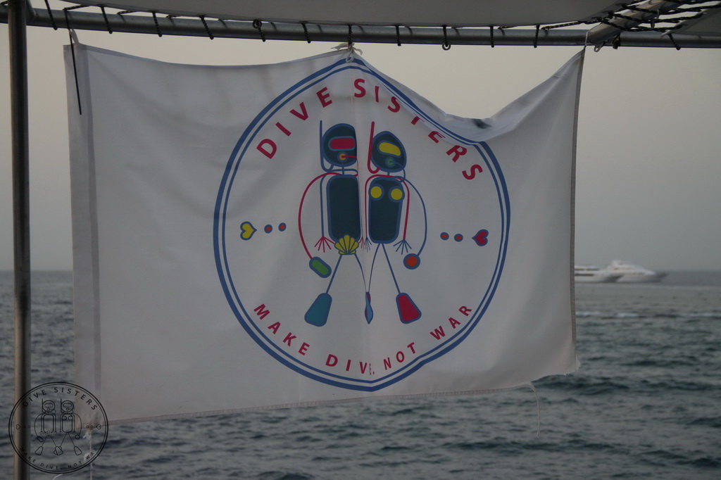 Сафари на Sea Serpent в июле 2013. Бразерсы, Дедалус, Эльфинстоун Сафари на Sea Serpent в июле 2013. Бразерсы, Дедалус, Эльфинстоун