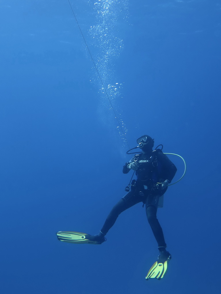 Сафари на Sea Serpent в июле 2013. Бразерсы, Дедалус, Эльфинстоун Сафари на Sea Serpent в июле 2013. Бразерсы, Дедалус, Эльфинстоун