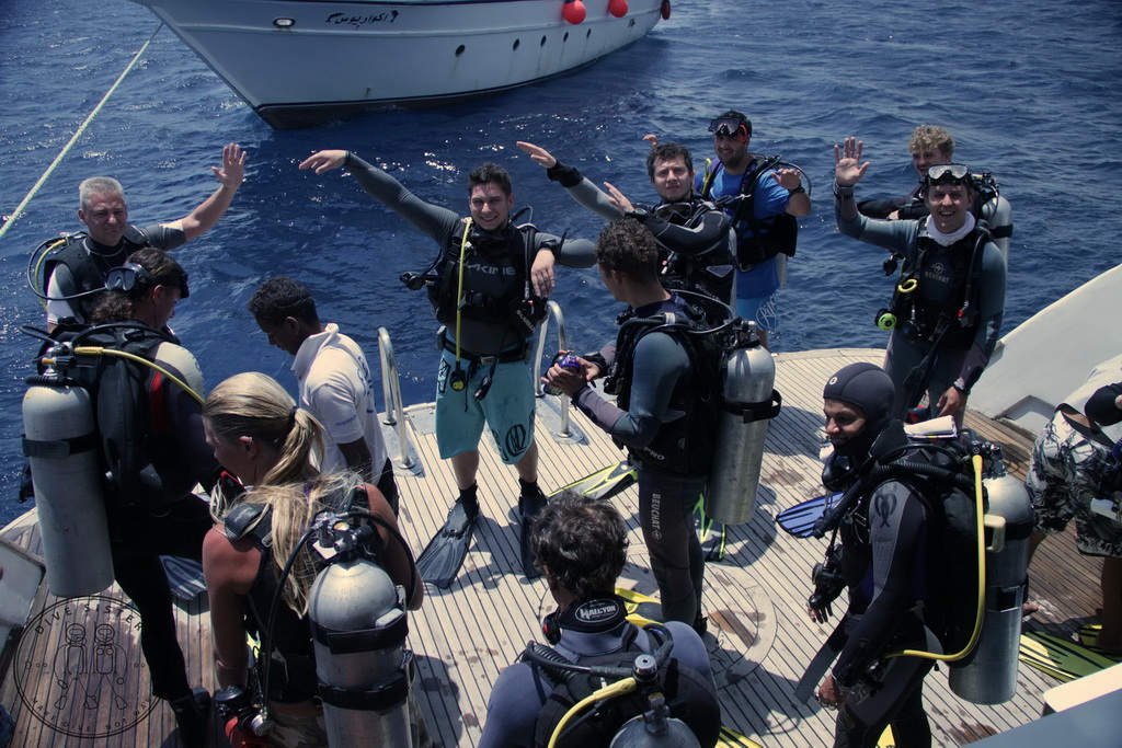 Сафари на Sea Serpent в июле 2013. Бразерсы, Дедалус, Эльфинстоун Сафари на Sea Serpent в июле 2013. Бразерсы, Дедалус, Эльфинстоун