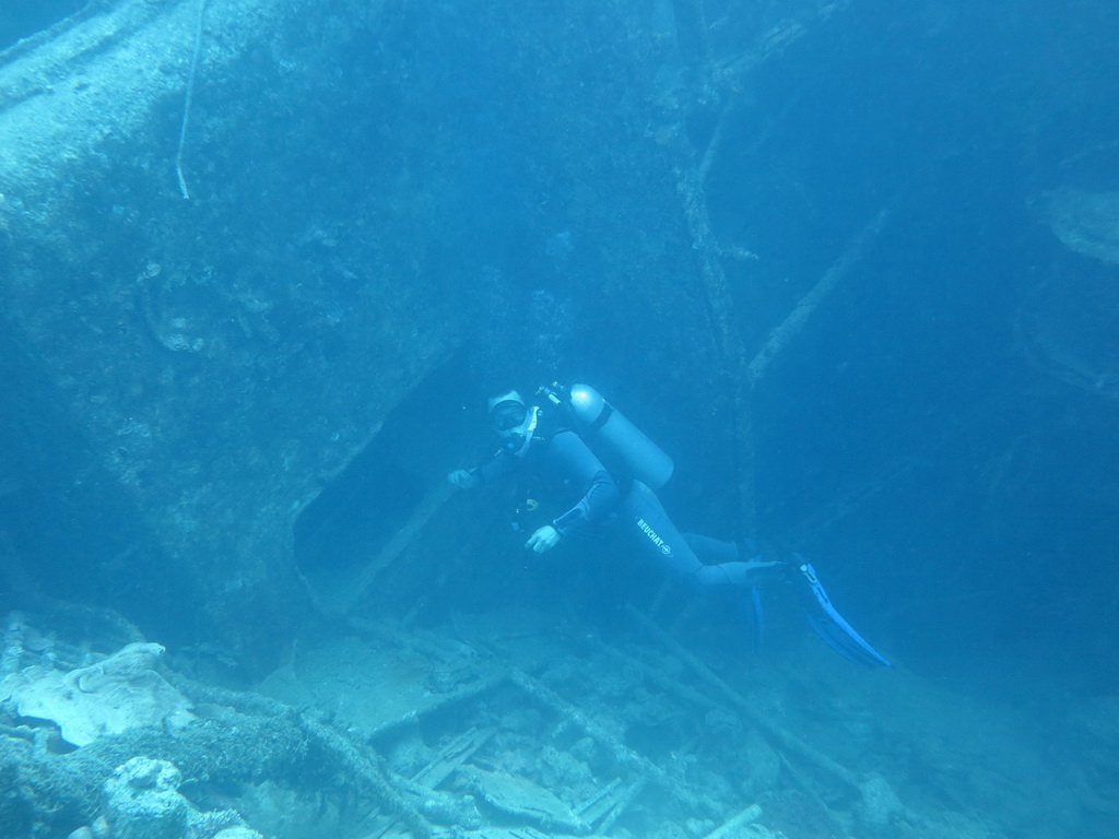 Сафари на Sea Serpent в июле 2013. Бразерсы, Дедалус, Эльфинстоун Сафари на Sea Serpent в июле 2013. Бразерсы, Дедалус, Эльфинстоун