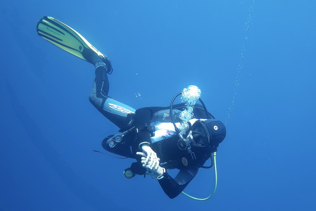 Сафари на Sea Serpent в июле 2013. Бразерсы, Дедалус, Эльфинстоун Сафари на Sea Serpent в июле 2013. Бразерсы, Дедалус, Эльфинстоун