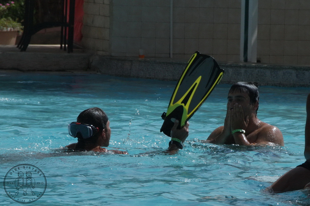 Сафари на Sea Serpent в июле 2013. Бразерсы, Дедалус, Эльфинстоун Сафари на Sea Serpent в июле 2013. Бразерсы, Дедалус, Эльфинстоун