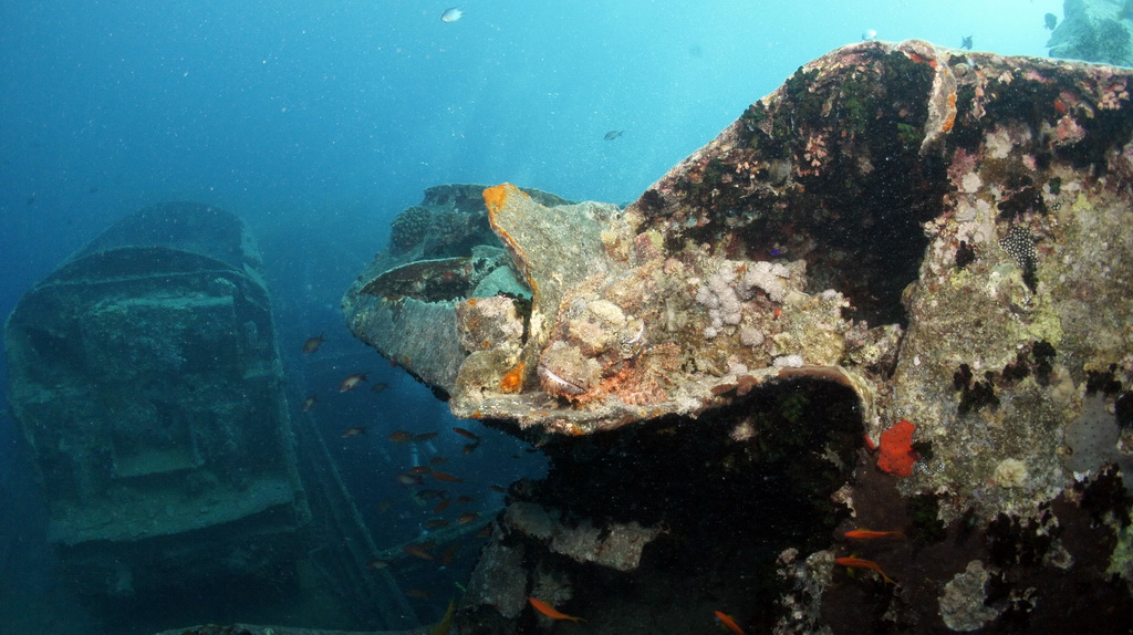 север север