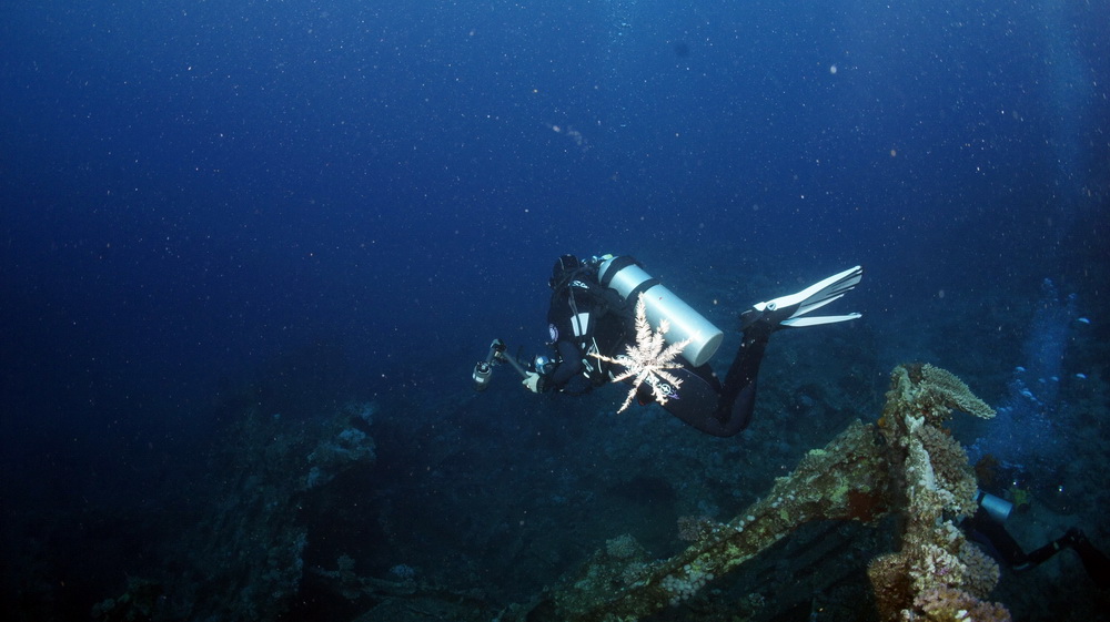 север север