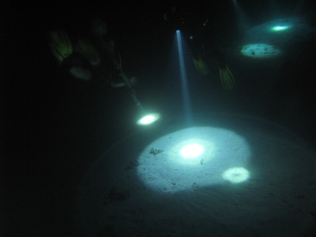 фонарь фонарь