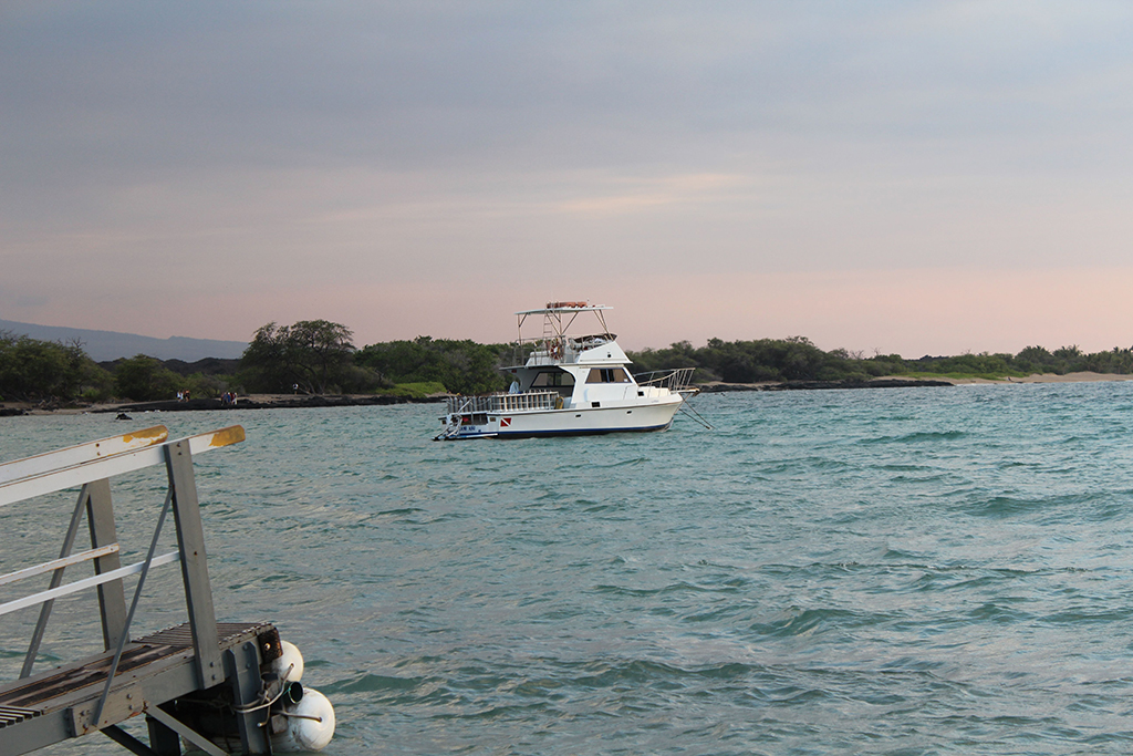 Гавайи. Август 2013. Гавайи. Август 2013.