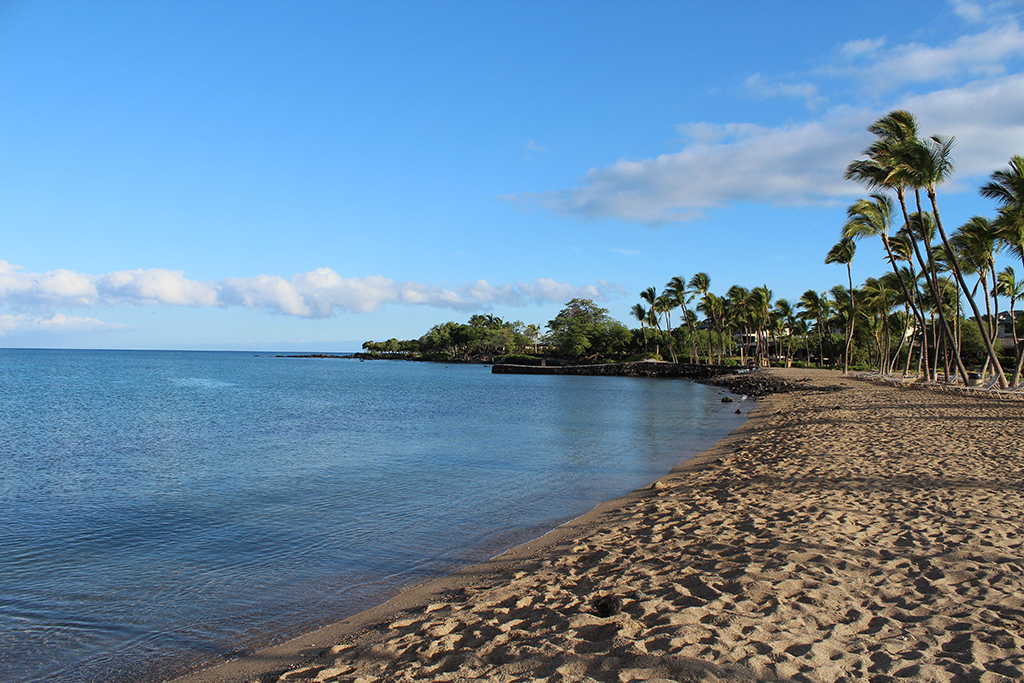 Гавайи. Август 2013. Гавайи. Август 2013.
