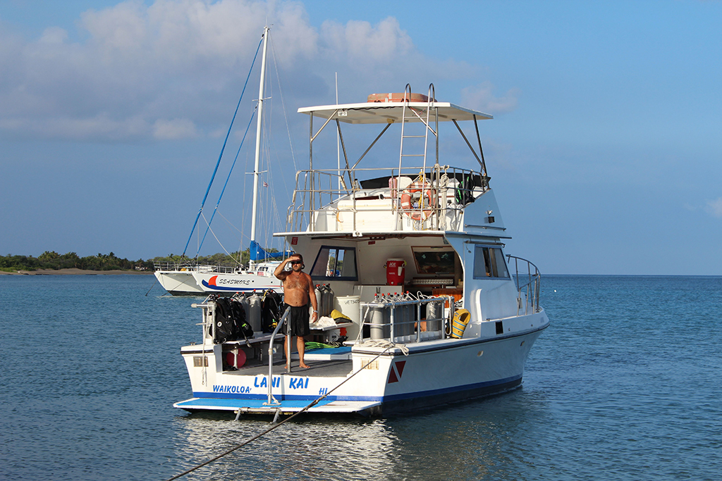 Гавайи. Август 2013. Гавайи. Август 2013.