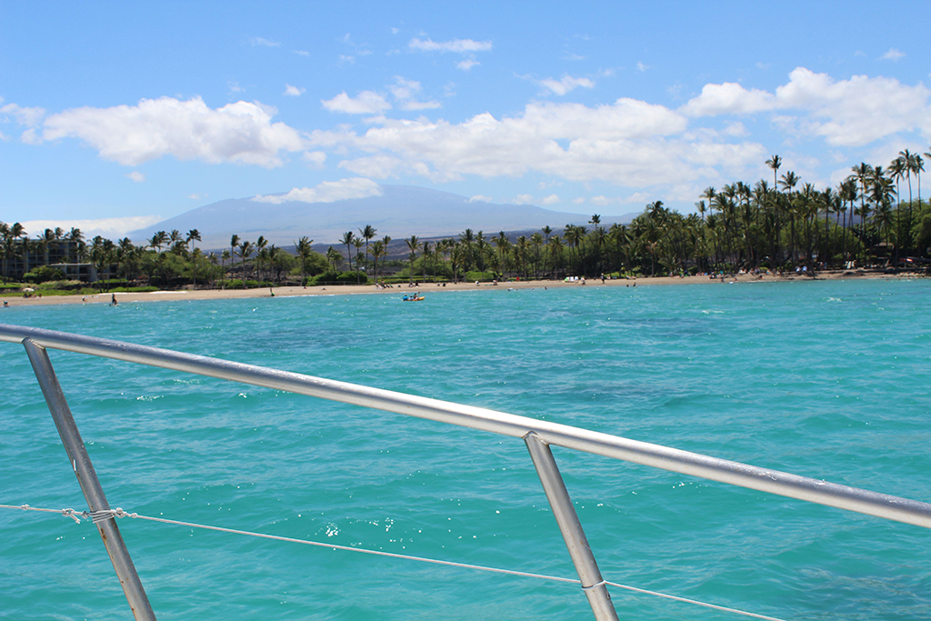 Гавайи. Август 2013. Гавайи. Август 2013.