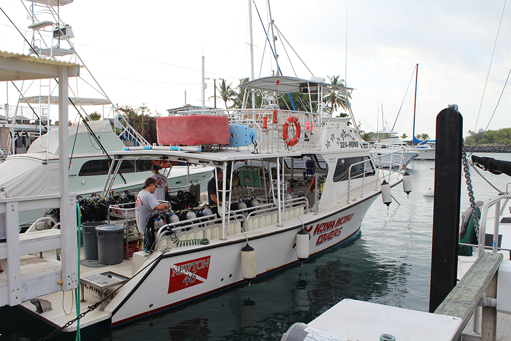 Гавайи. Август 2013. Гавайи. Август 2013.
