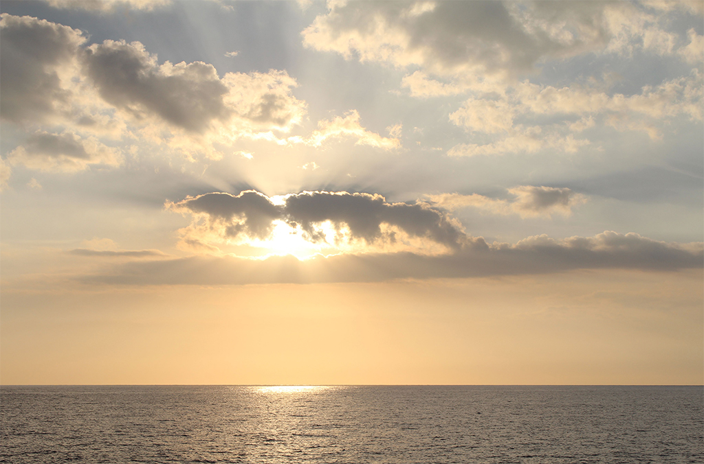 Гавайи. Август 2013. Гавайи. Август 2013.