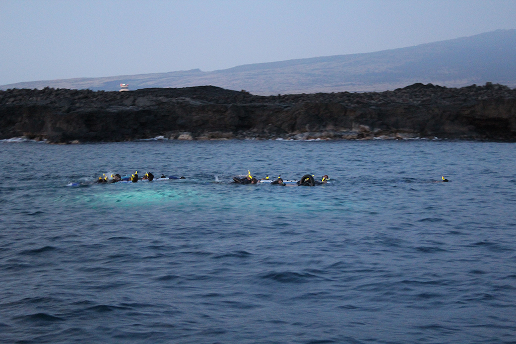 Гавайи. Август 2013. Гавайи. Август 2013.