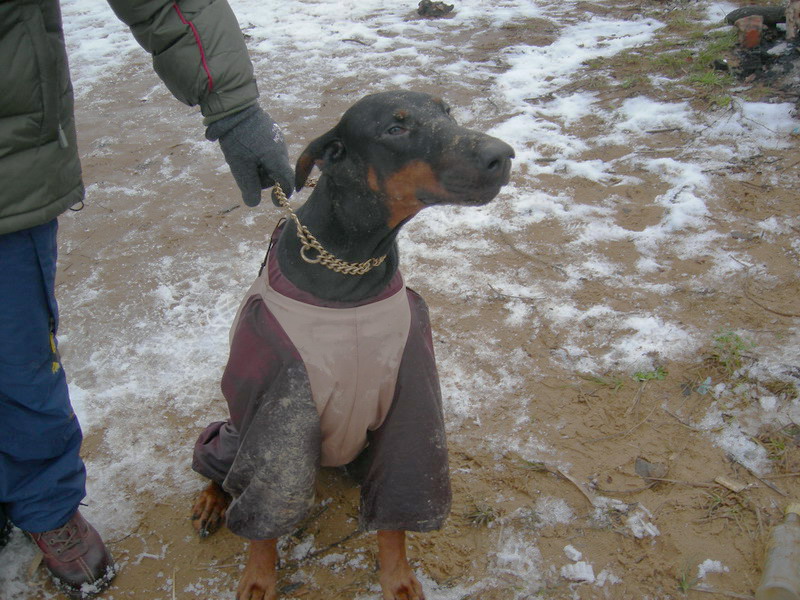 Нева.Невский пятачок (19,11,2006) Нева.Невский пятачок (19,11,2006)