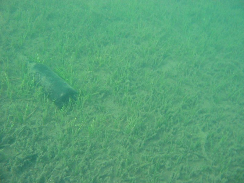 Бутылка Бутылка