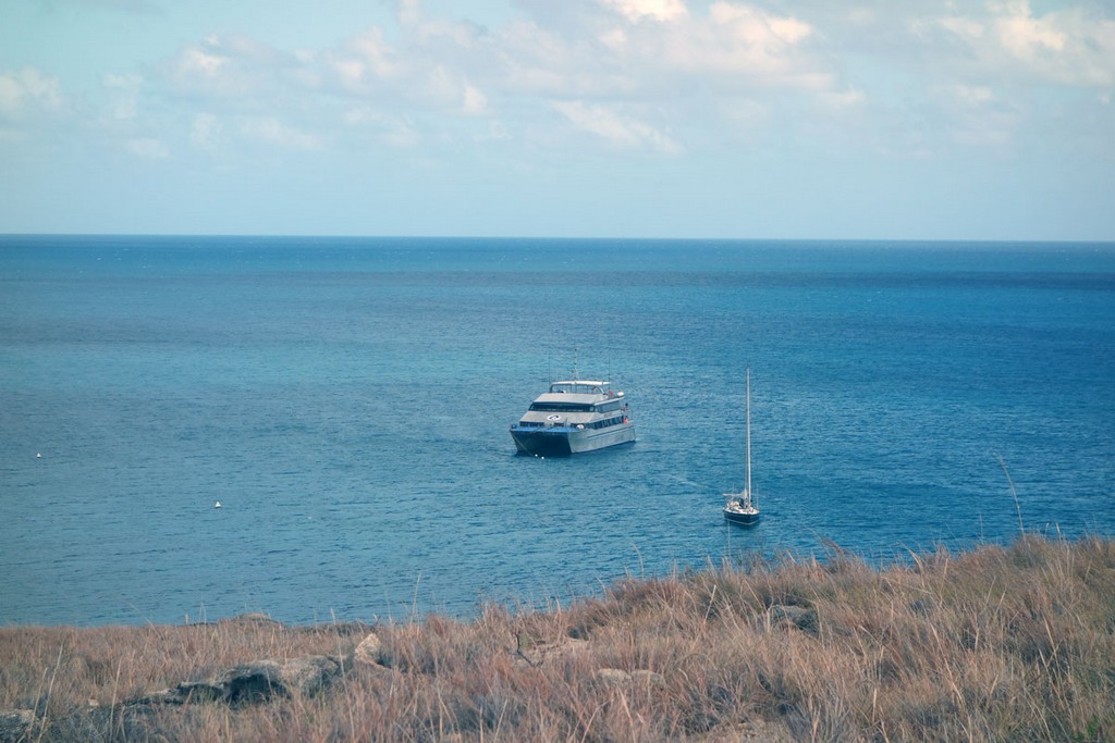 Австралия Австралия