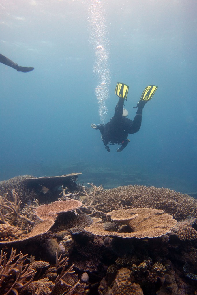 Австралия Австралия