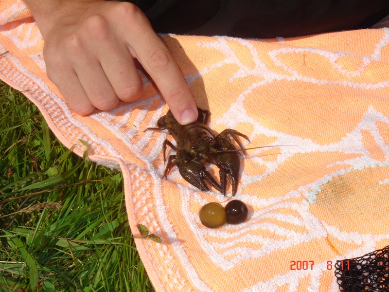 все то же все то же