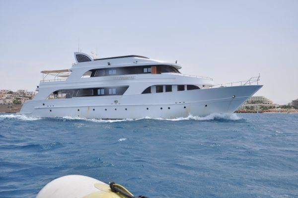 Сафари-бот Сафари-бот