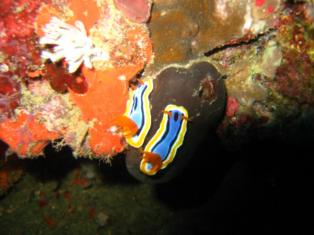 Филиппины 2014 Филиппины 2014