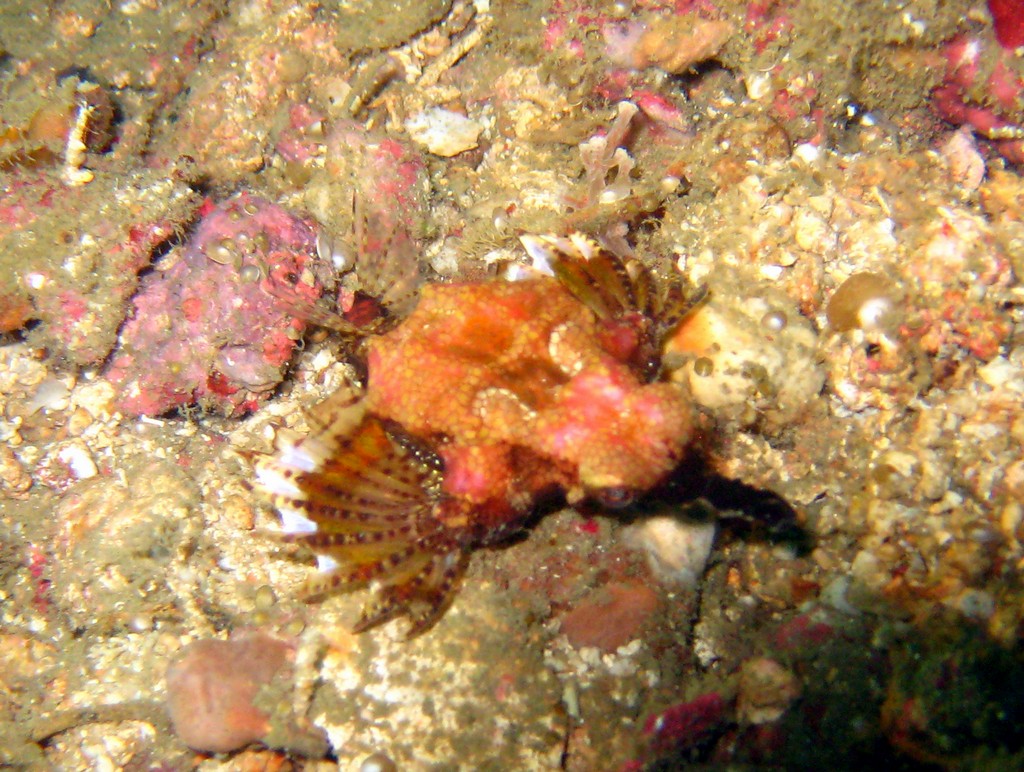 Филиппины 2014 Филиппины 2014