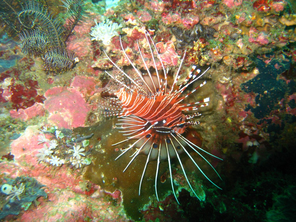 Филиппины 2014 Филиппины 2014