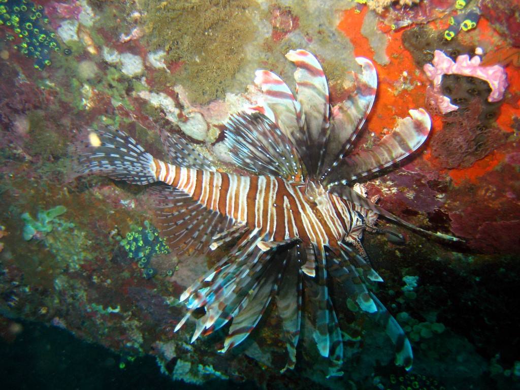 Филиппины 2014 Филиппины 2014