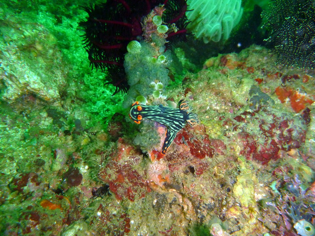 Филиппины 2014 Филиппины 2014