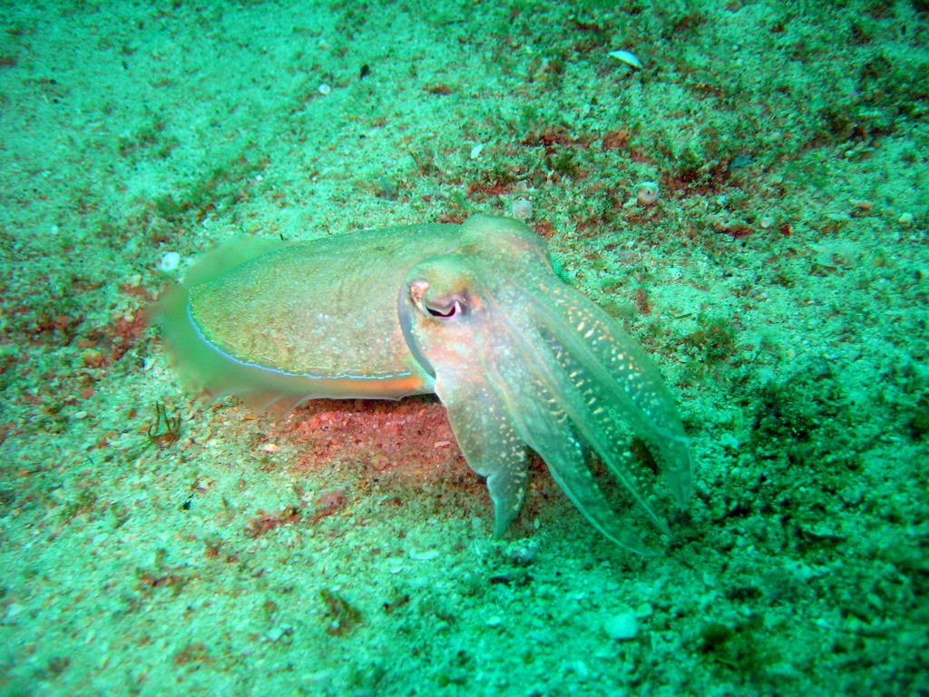 Филиппины 2014 Филиппины 2014