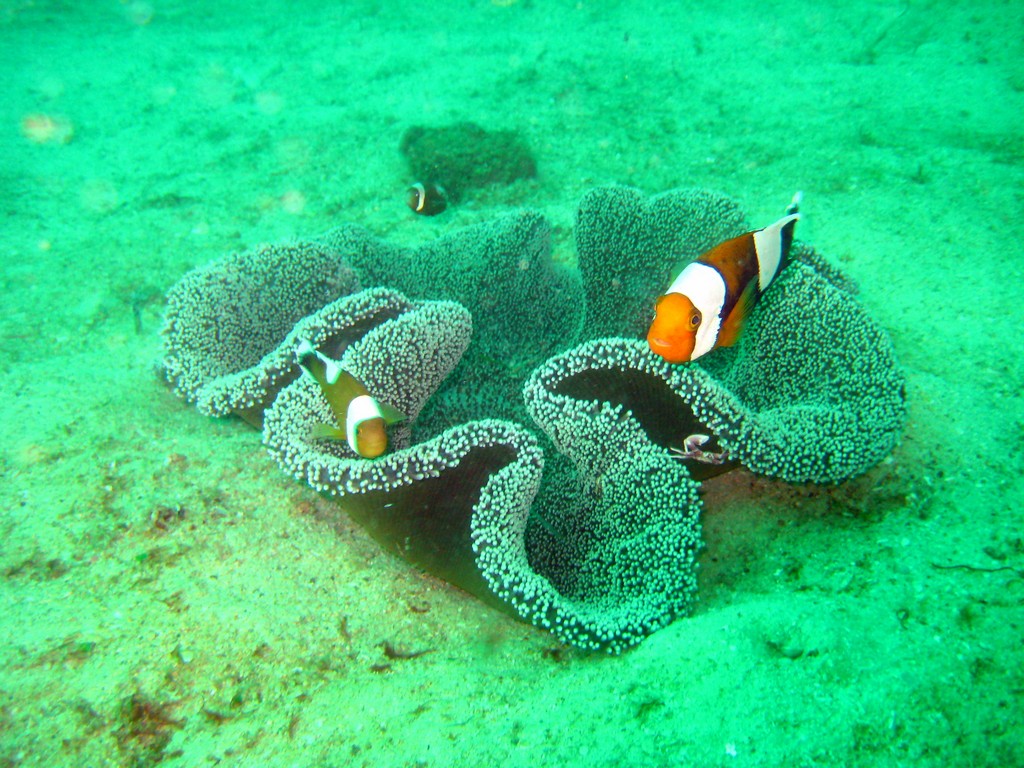 Филиппины 2014 Филиппины 2014