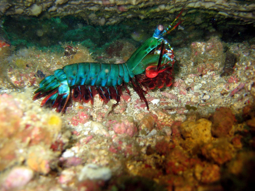 Филиппины 2014 Филиппины 2014