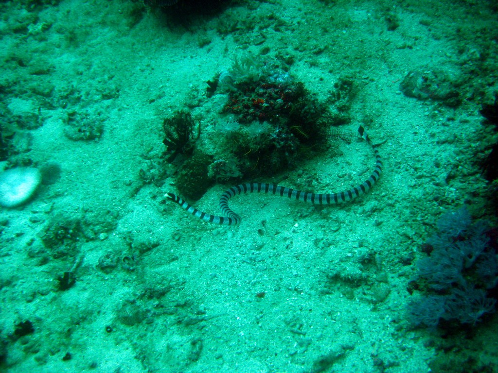 Филиппины 2014 Филиппины 2014